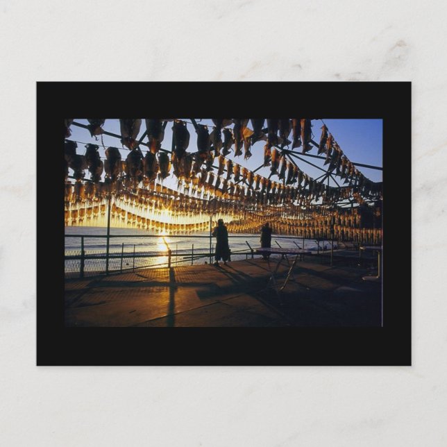 Cartão Postal Lula de Secagem (Frente)