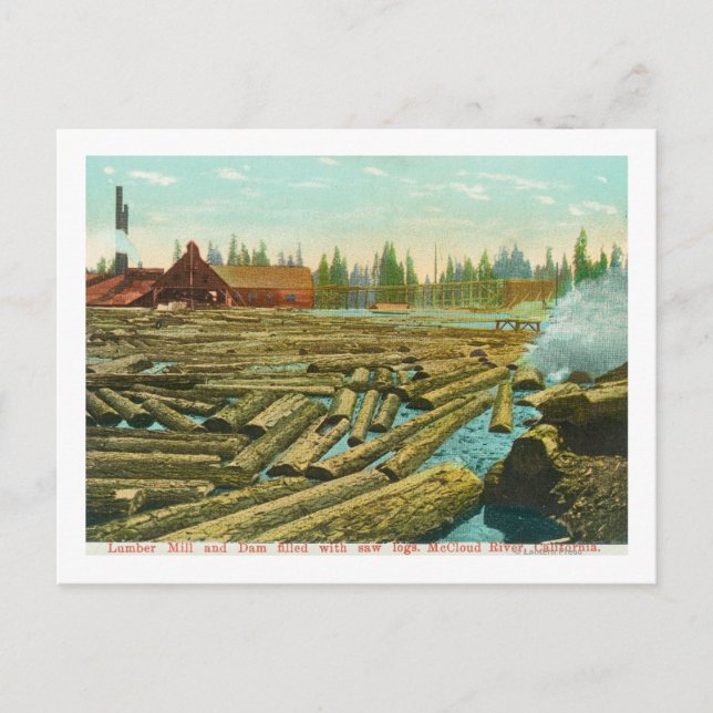 Cartão Postal Lumber Mill and Dam, Rio repleto de (Frente)