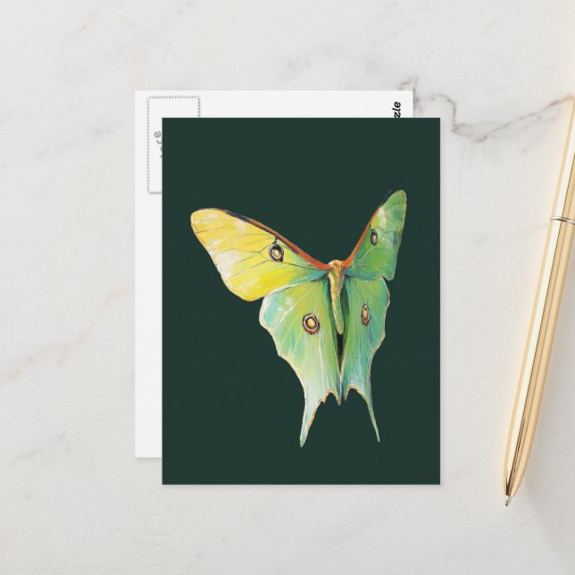 Cartão Postal Luna Moth Painting on Dark Background (Frente/Verso In Situ)