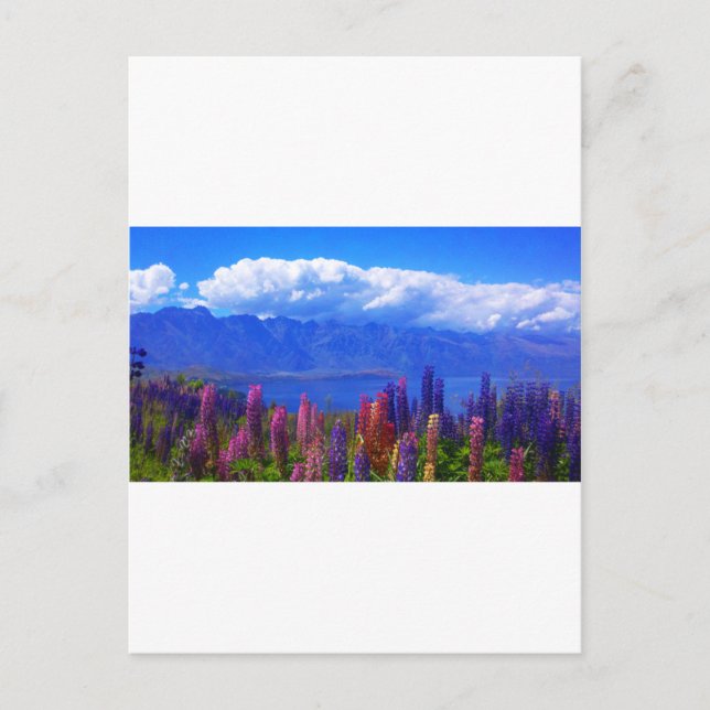 Cartão Postal Lupine Nova Zelândia em Queenstown sobre o Lago Wa (Frente)