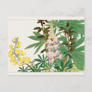 Cartão Postal Lupine por Tanigami Konan