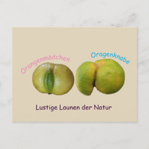 Cartão Postal Lustige Orangen