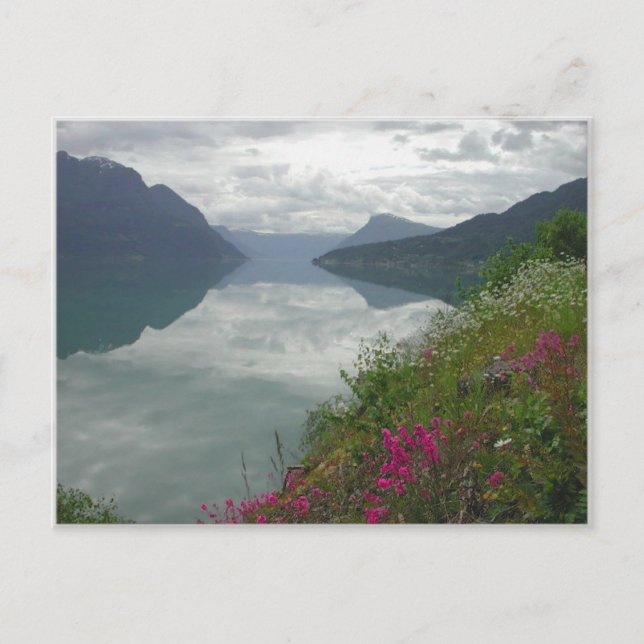 Cartão Postal Lustrafjorden Panorama (Frente)