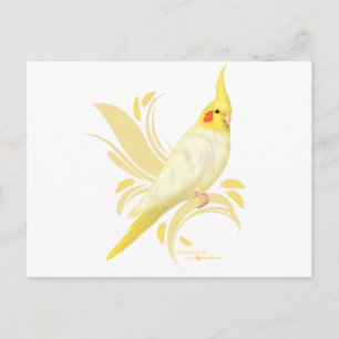 Cartão Postal Lutino Cockatiel