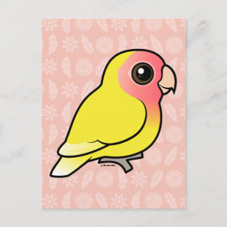 Cartão Postal Lutino Peach Face Lovebird