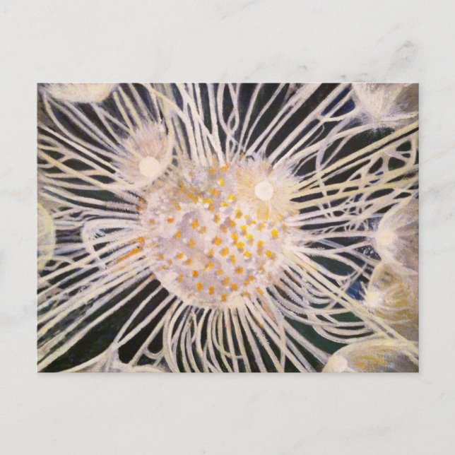 Cartão Postal Lux ex Tenebris (Frente)