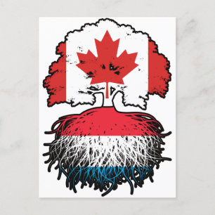 Cartão Postal Luxemburguês - Canadá - Raiz de Árvore do Canadá