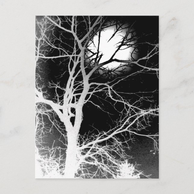 Cartão Postal Luz (Frente)