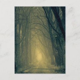 Cartão Postal Luz amarela misteriosa na floresta
