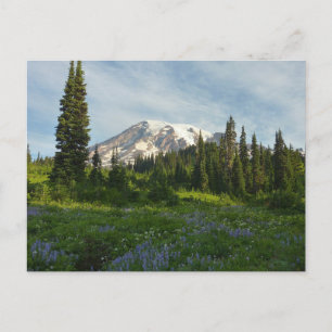 Cartão Postal Luz da Manhã no Monte Rainier