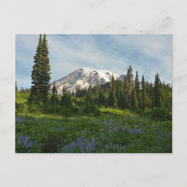 Cartão Postal Luz da Manhã no Monte Rainier (Frente)
