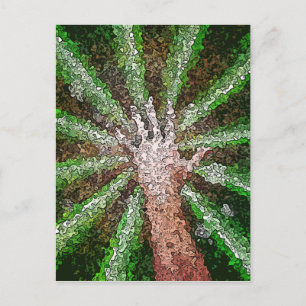 Cartão Postal Luz de captura