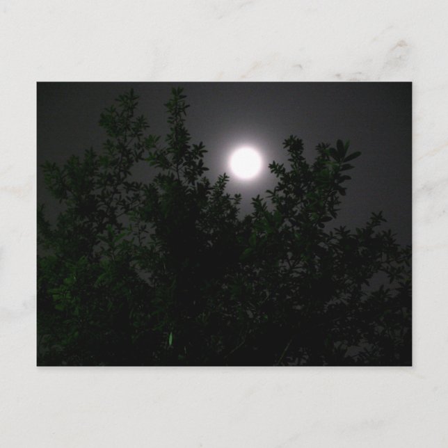 Cartão Postal Luz de lua (Frente)