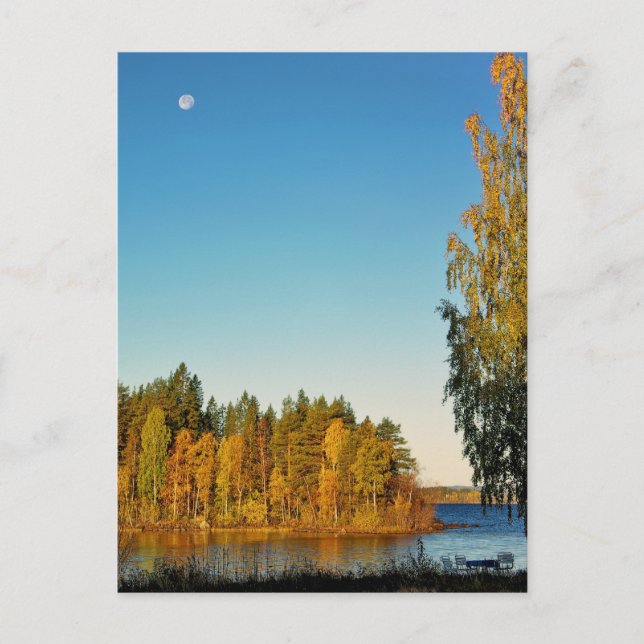 Cartão Postal Luz de outono (Frente)