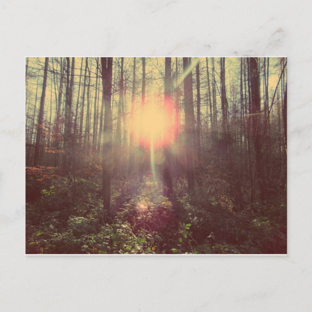 Cartão Postal Luz do Céu (Frente)