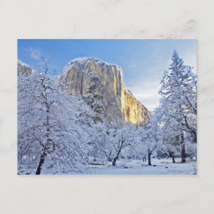 Cartão Postal Luz do nascer do sol atinge El Capitan através da