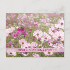 Cartão Postal Luz do sol Belo Cor-de-Rosa Fogo Cosmos