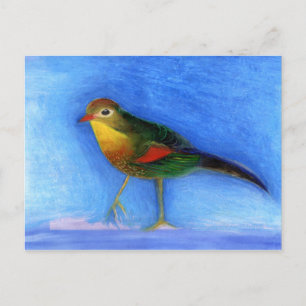 Cartão Postal Luz Noturna 2012