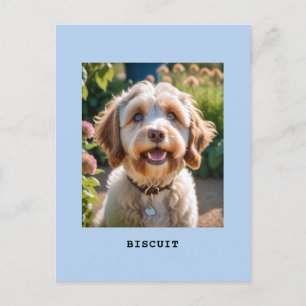 Cartão Postal Luz Personalizada com Nome Foto de Cachorro Gato A