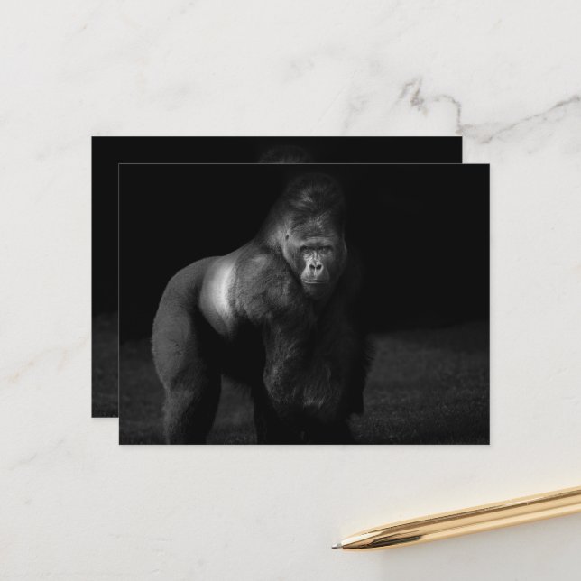 Cartão Postal Luz sobre a Força – Gorila Silverback (Frente/Verso In Situ)