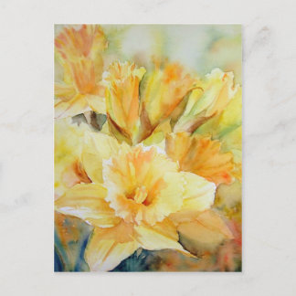 Cartão Postal Luz solar destilada