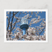 Luzes das Ruas de Tóquio: Den'en Chofu