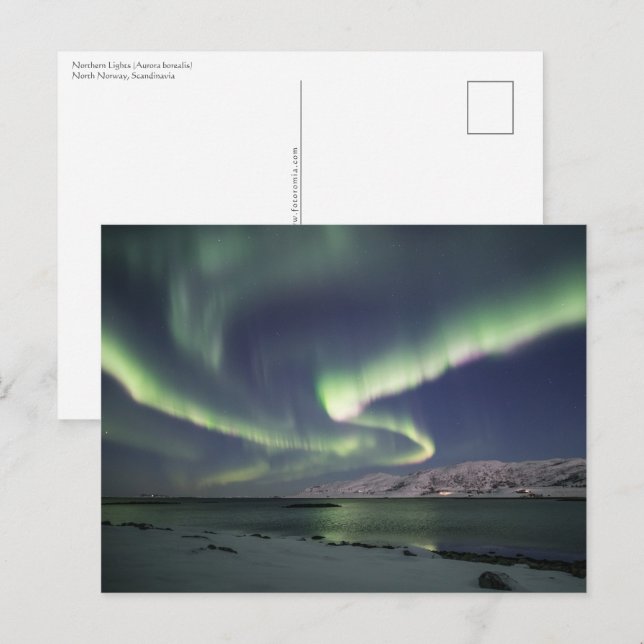 Cartão Postal Luzes do Norte Noruega (Frente/Verso)