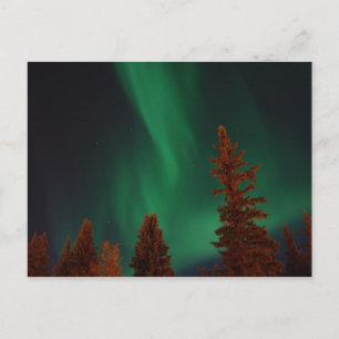 Cartão Postal Luzes do norte sobre Ft. Wainwright, AK