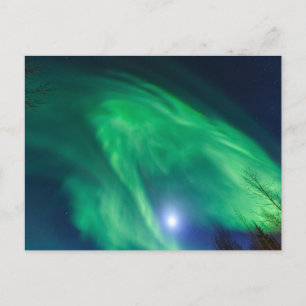 Cartão Postal Luzes Nortes Aurora Borealis Fairbanks