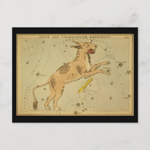 Cartão Postal Lynx e Telescopium Herschilii