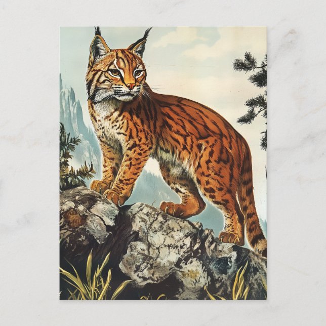Cartão Postal Lynx Vintage (Frente)