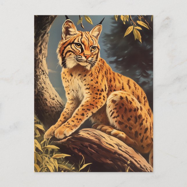 Cartão Postal Lynx Vintage (Frente)