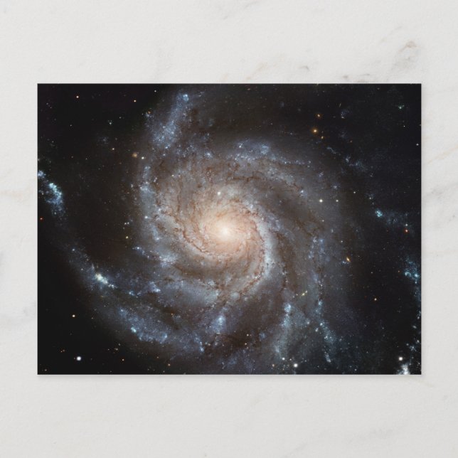 Cartão Postal M101 Galáxia Espiral de PinWheel NASA (Frente)