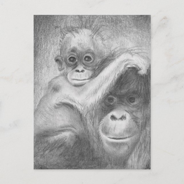 Cartão Postal Macaco (Frente)