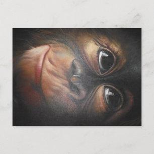 Cartão postal macaco