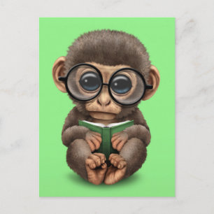 Cartão Postal Macaco-bebê bonito lendo um livro sobre verde