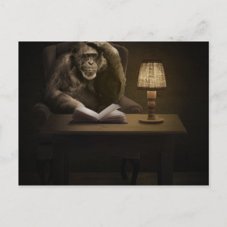 Cartão Postal Macaco Chimpanzé Macaco