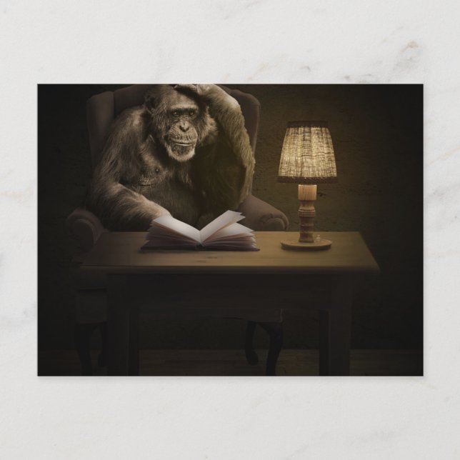 Cartão Postal Macaco Chimpanzé Macaco (Frente)