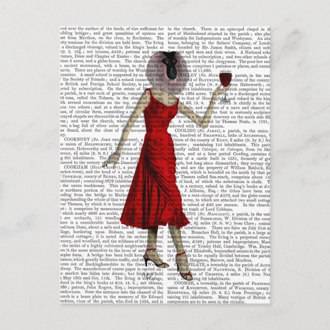 Cartão Postal Macaco com vinho (Frente)