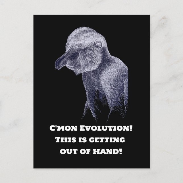 Cartão Postal Macaco de Evolução (Frente)