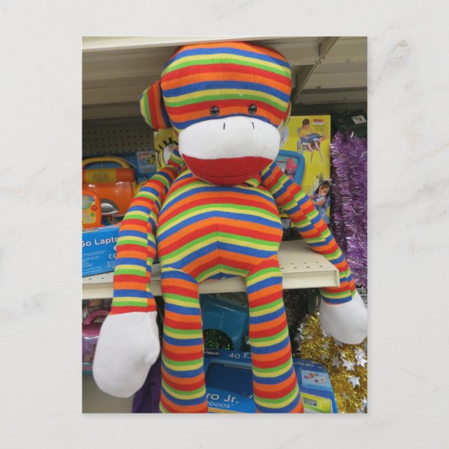 Cartão Postal Macaco de Meia Arco-íris (Frente)