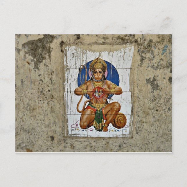 Cartão Postal Macaco Deus (Frente)