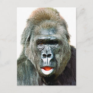 CARTÃO POSTAL MACACO ENGRAÇADO FOFO