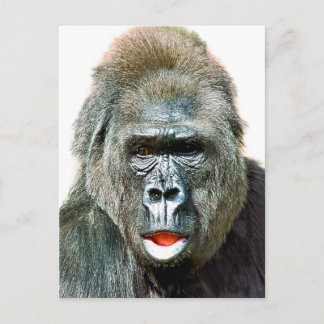 CARTÃO POSTAL MACACO ENGRAÇADO FOFO