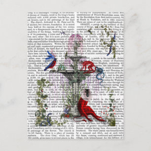 Cartão Postal Macaco Escarlet 2