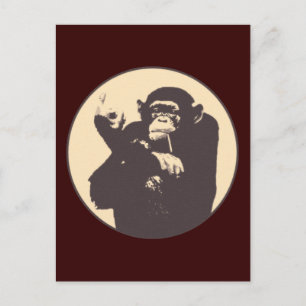 Cartão Postal Macaco insolente