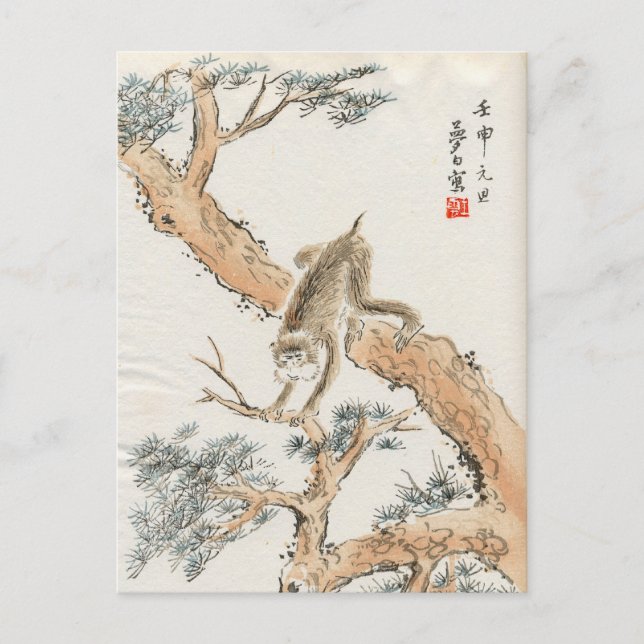 Cartão Postal Macaco Japonês (Frente)