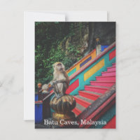 Macaco Macaco em Batu Cavernas, Viagem da Malásia