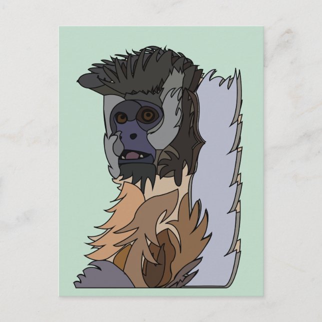 Cartão Postal Macaco-prego  (Frente)