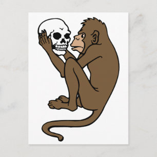 Cartão Postal Macaco Segurando Um Crânio